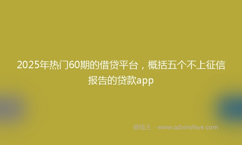 2025年热门60期的借贷平台，概括五个不上征信报告的贷款app