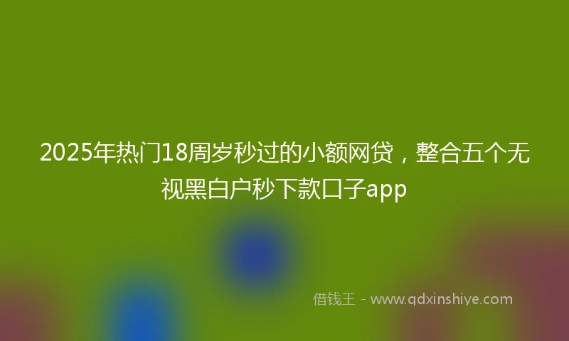 2025年热门18周岁秒过的小额网贷，整合五个无视黑白户秒下款口子app