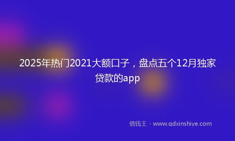2025年热门2021大额口子，盘点五个12月独家贷款的app