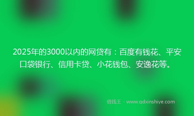 2025年的3000以内的网贷有：百度有钱花、平安口袋银行、信用卡贷、小花钱包、安逸花等。