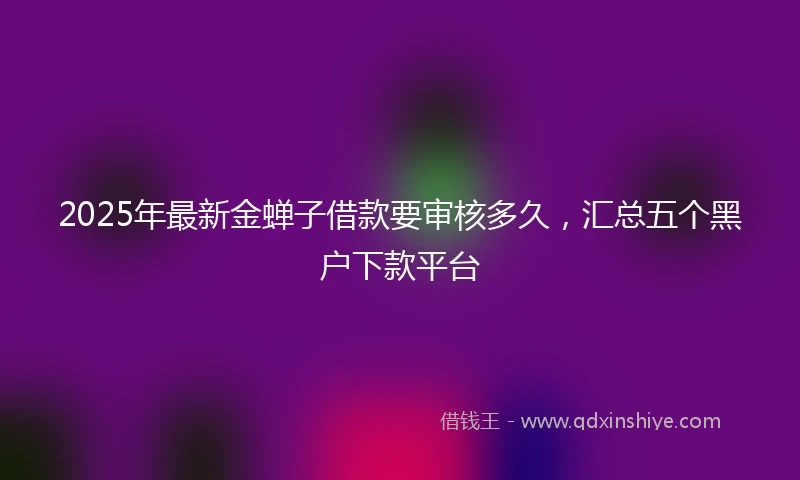 2025年最新金蝉子借款要审核多久，汇总五个黑户下款平台