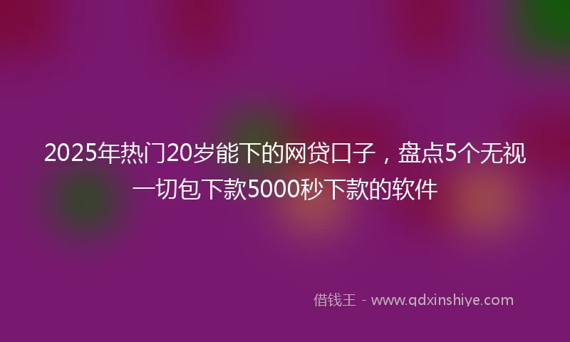 2025年热门20岁能下的网贷口子，盘点5个无视一切包下款5000秒下款的软件