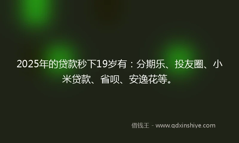 2025年的贷款秒下19岁有：分期乐、投友圈、小米贷款、省呗、安逸花等。