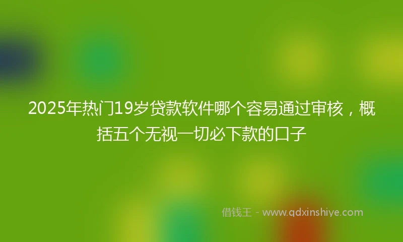 2025年热门19岁贷款软件哪个容易通过审核，概括五个无视一切必下款的口子