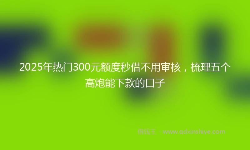 2025年热门300元额度秒借不用审核，梳理五个高炮能下款的口子