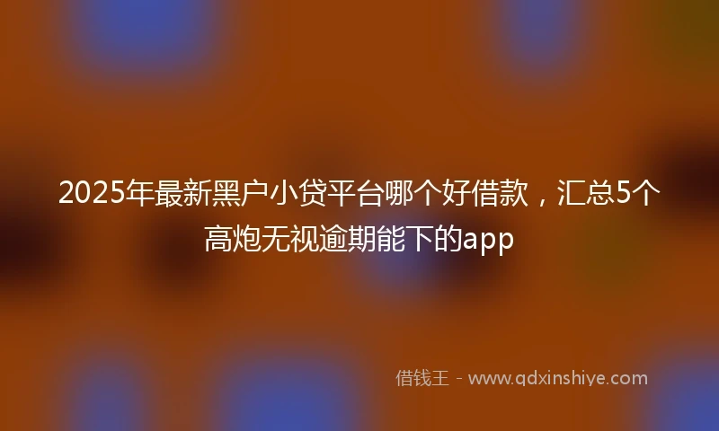 2025年最新黑户小贷平台哪个好借款，汇总5个高炮无视逾期能下的app