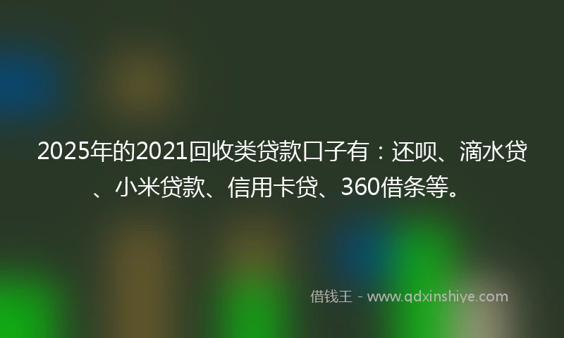 2025年的2021回收类贷款口子有：还呗、滴水贷、小米贷款、信用卡贷、360借条等。