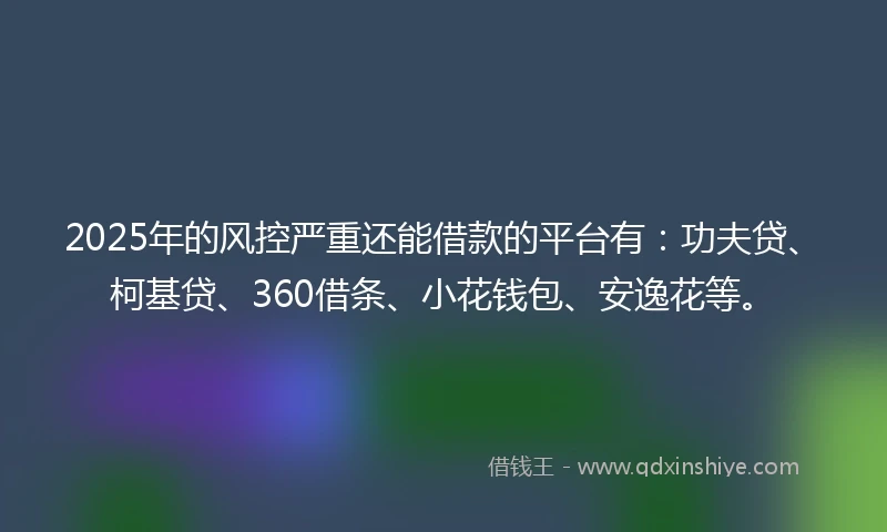 2025年的风控严重还能借款的平台有：功夫贷、柯基贷、360借条、小花钱包、安逸花等。