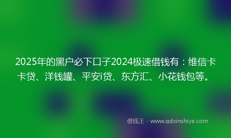2025年的黑户必下口子2024极速借钱有：维信卡卡贷、洋钱罐、平安i贷、东方汇、小花钱包等。