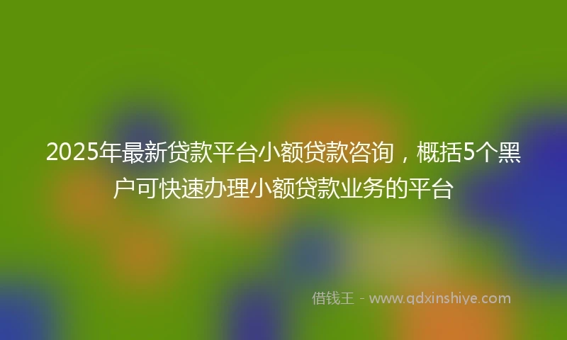 2025年最新贷款平台小额贷款咨询，概括5个黑户可快速办理小额贷款业务的平台