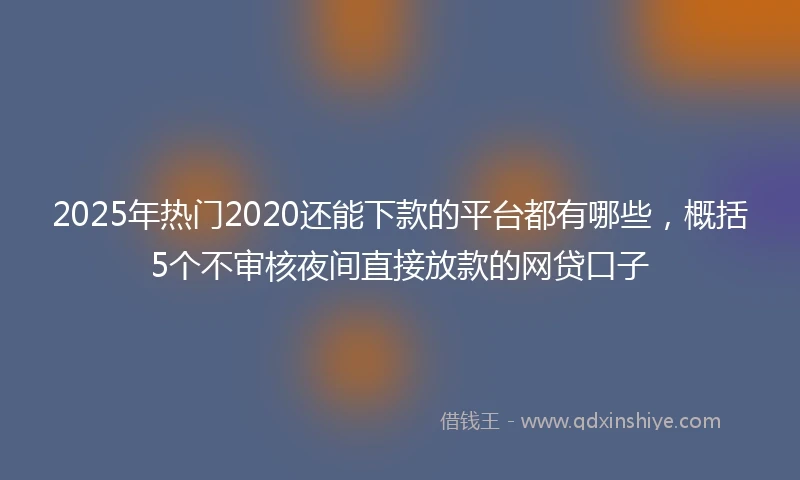 2025年热门2020还能下款的平台都有哪些，概括5个不审核夜间直接放款的网贷口子