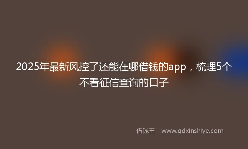 2025年最新风控了还能在哪借钱的app，梳理5个不看征信查询的口子