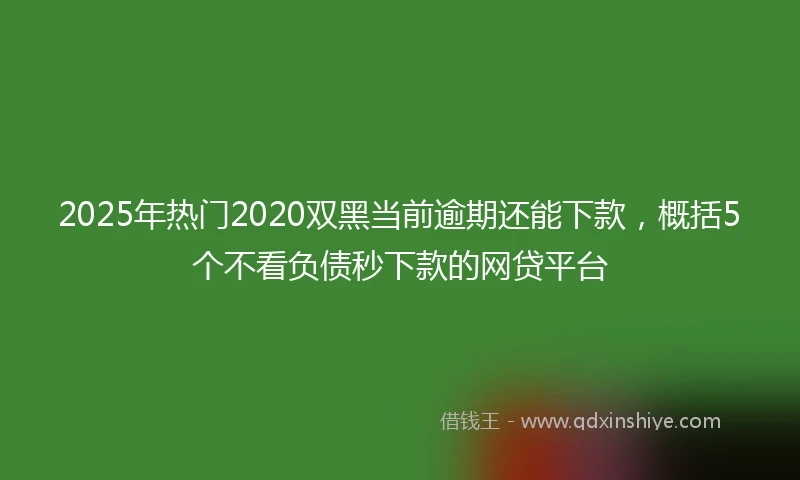 2025年热门2020双黑当前逾期还能下款，概括5个不看负债秒下款的网贷平台