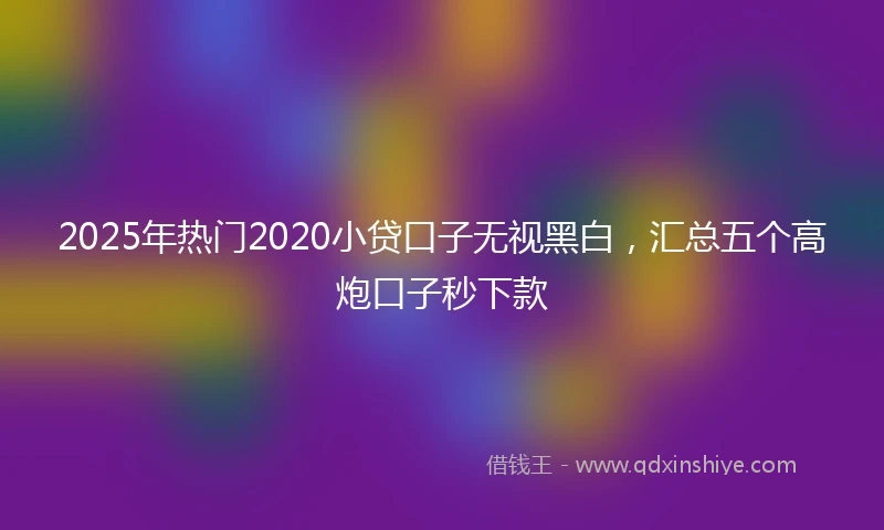 2025年热门2020小贷口子无视黑白，汇总五个高炮口子秒下款