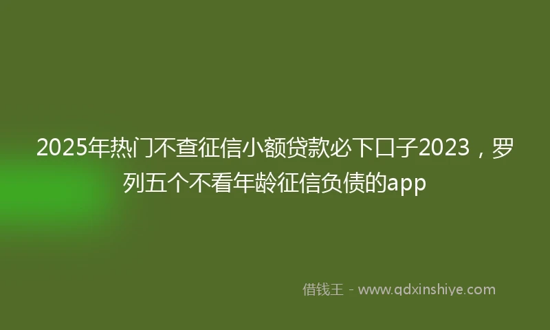 2025年热门不查征信小额贷款必下口子2023，罗列五个不看年龄征信负债的app