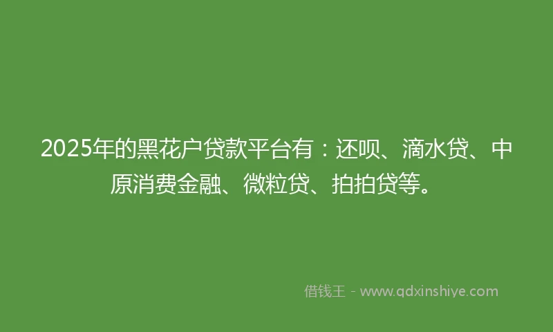 2025年的黑花户贷款平台有：还呗、滴水贷、中原消费金融、微粒贷、拍拍贷等。