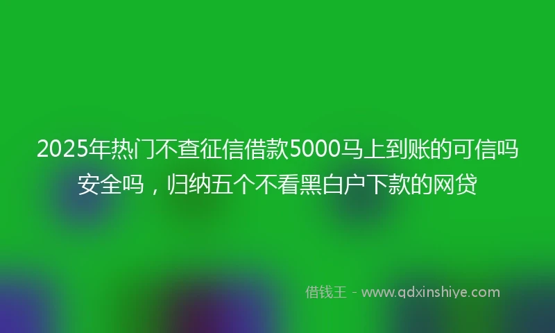 2025年热门不查征信借款5000马上到账的可信吗安全吗，归纳五个不看黑白户下款的网贷