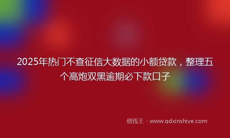 2025年热门不查征信大数据的小额贷款，整理五个高炮双黑逾期必下款口子
