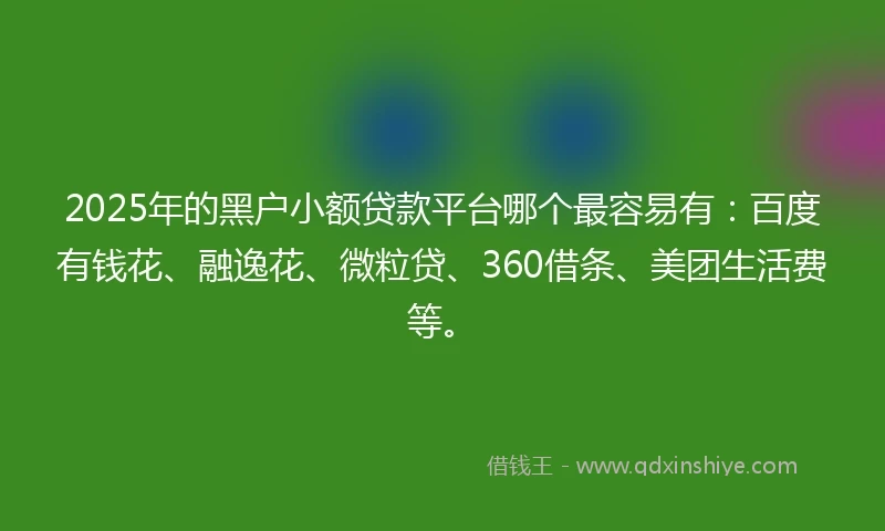 2025年的黑户小额贷款平台哪个最容易有：百度有钱花、融逸花、微粒贷、360借条、美团生活费等。
