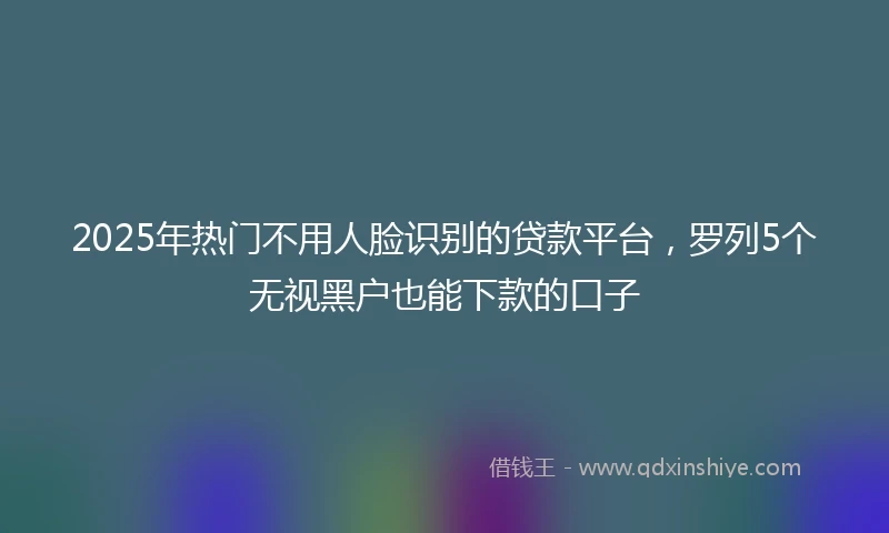 2025年热门不用人脸识别的贷款平台，罗列5个无视黑户也能下款的口子