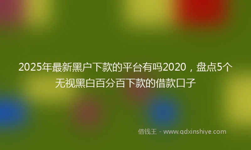 2025年最新黑户下款的平台有吗2020，盘点5个无视黑白百分百下款的借款口子