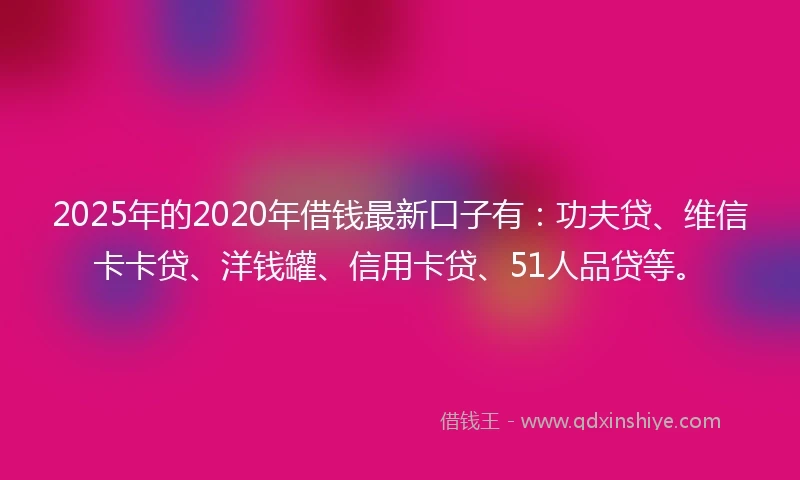 2025年的2020年借钱最新口子有：功夫贷、维信卡卡贷、洋钱罐、信用卡贷、51人品贷等。