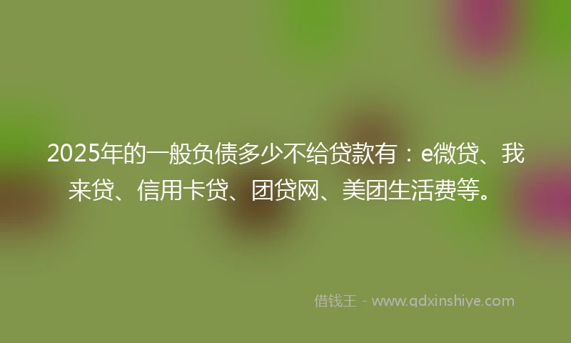 2025年的一般负债多少不给贷款有：e微贷、我来贷、信用卡贷、团贷网、美团生活费等。