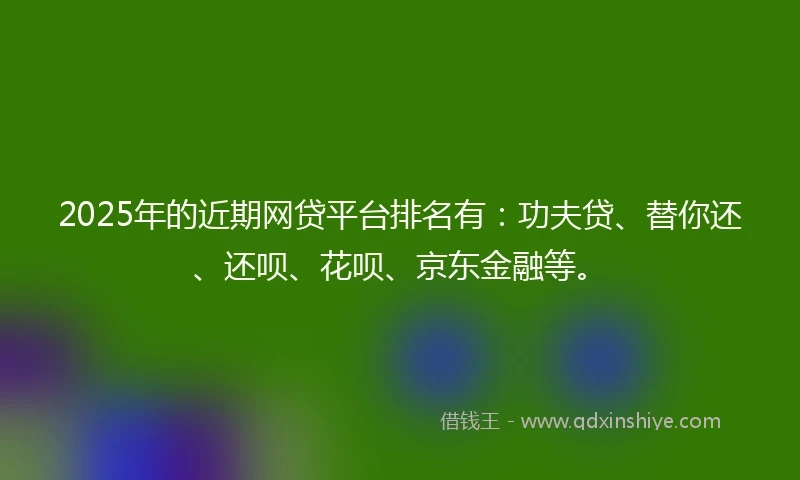2025年的近期网贷平台排名有：功夫贷、替你还、还呗、花呗、京东金融等。