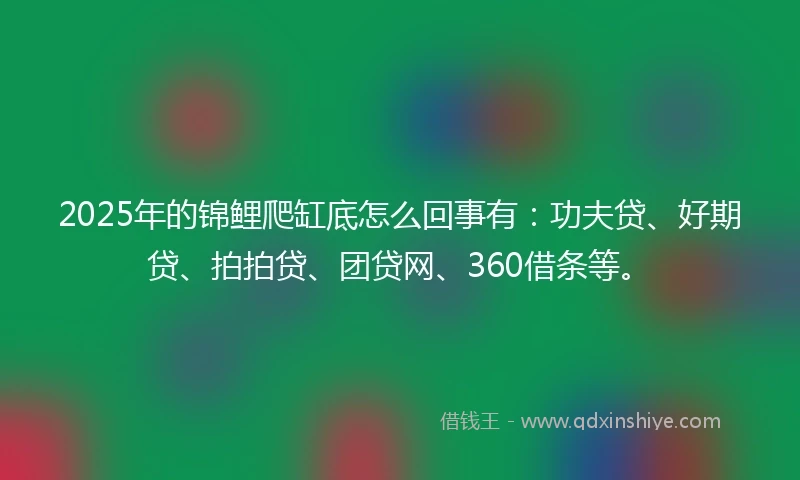 2025年的锦鲤爬缸底怎么回事有：功夫贷、好期贷、拍拍贷、团贷网、360借条等。