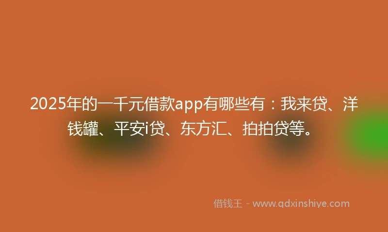 2025年的一千元借款app有哪些有：我来贷、洋钱罐、平安i贷、东方汇、拍拍贷等。