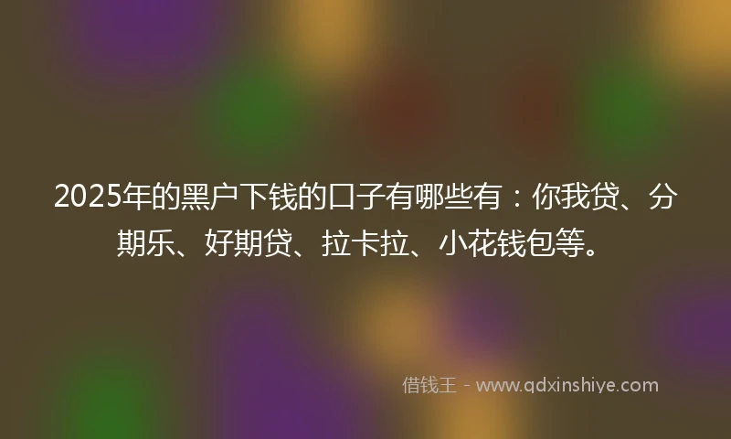 2025年的黑户下钱的口子有哪些有：你我贷、分期乐、好期贷、拉卡拉、小花钱包等。