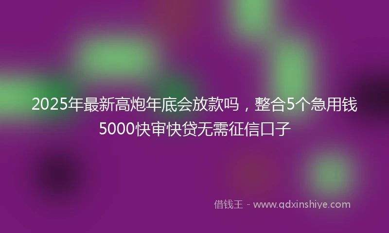 2025年最新高炮年底会放款吗，整合5个急用钱5000快审快贷无需征信口子