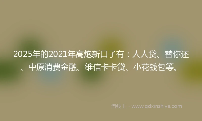 2025年的2021年高炮新口子有：人人贷、替你还、中原消费金融、维信卡卡贷、小花钱包等。