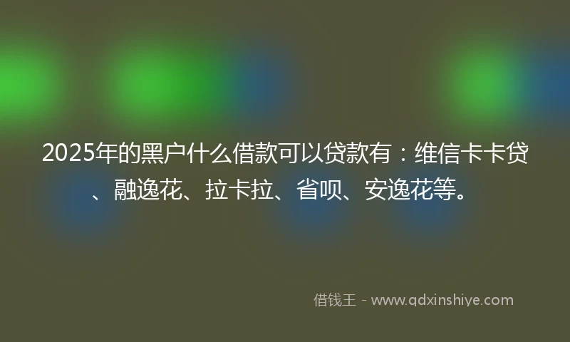 2025年的黑户什么借款可以贷款有：维信卡卡贷、融逸花、拉卡拉、省呗、安逸花等。