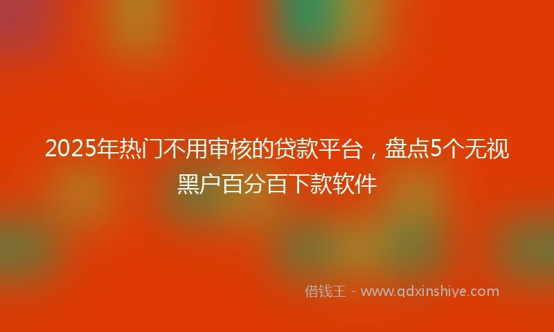 2025年热门不用审核的贷款平台，盘点5个无视黑户百分百下款软件