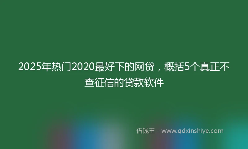 2025年热门2020最好下的网贷，概括5个真正不查征信的贷款软件