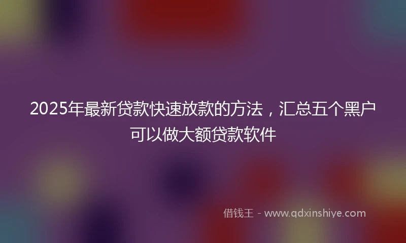 2025年最新贷款快速放款的方法，汇总五个黑户可以做大额贷款软件