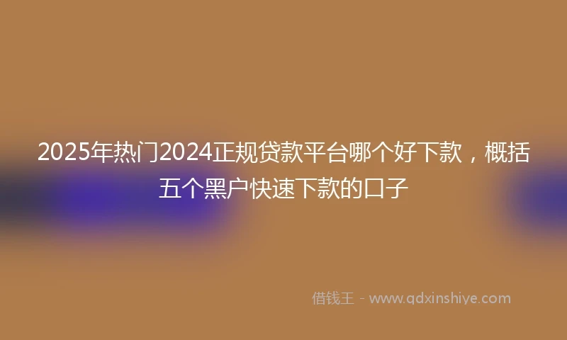 2025年热门2024正规贷款平台哪个好下款，概括五个黑户快速下款的口子