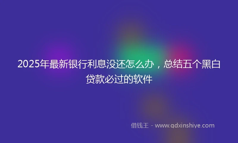 2025年最新银行利息没还怎么办，总结五个黑白贷款必过的软件