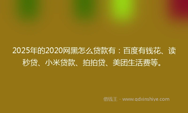 2025年的2020网黑怎么贷款有：百度有钱花、读秒贷、小米贷款、拍拍贷、美团生活费等。