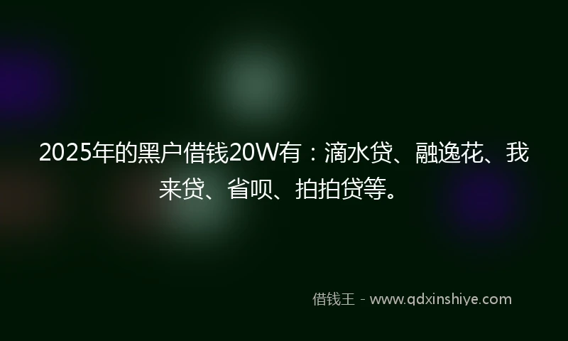 2025年的黑户借钱20W有：滴水贷、融逸花、我来贷、省呗、拍拍贷等。