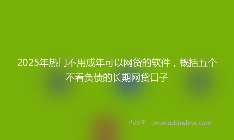 2025年热门不用成年可以网贷的软件，概括五个不看负债的长期网贷口子