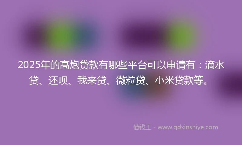 2025年的高炮贷款有哪些平台可以申请有：滴水贷、还呗、我来贷、微粒贷、小米贷款等。