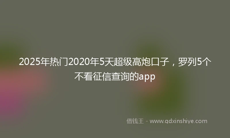 2025年热门2020年5天超级高炮口子，罗列5个不看征信查询的app