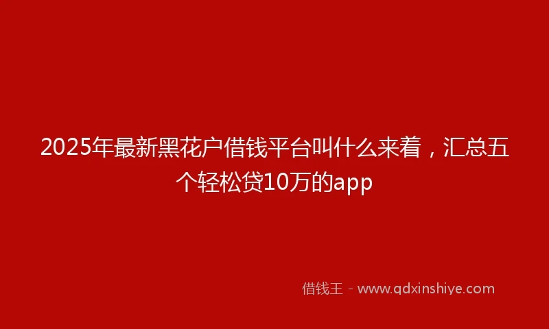2025年最新黑花户借钱平台叫什么来着，汇总五个轻松贷10万的app