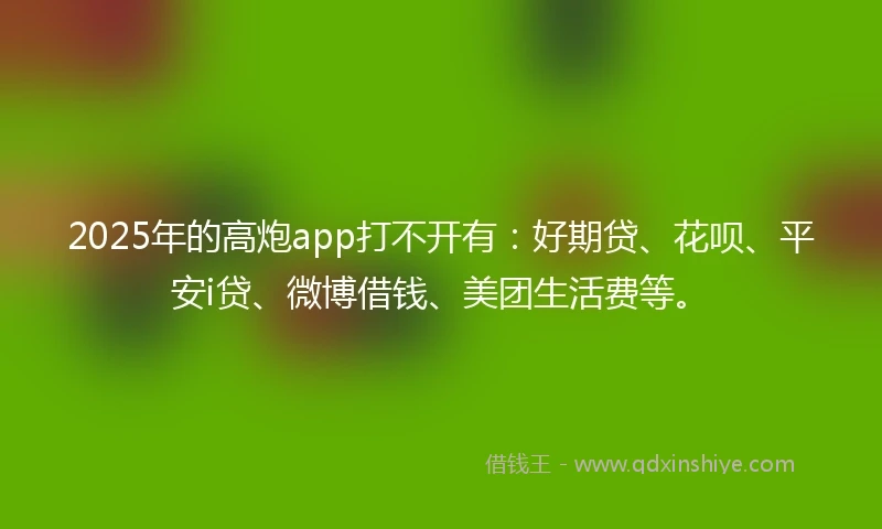 2025年的高炮app打不开有：好期贷、花呗、平安i贷、微博借钱、美团生活费等。