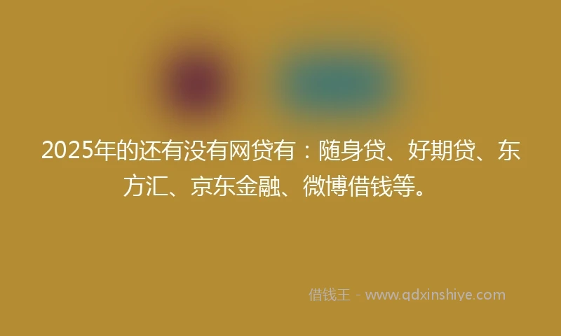 2025年的还有没有网贷有：随身贷、好期贷、东方汇、京东金融、微博借钱等。