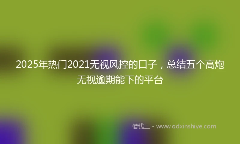 2025年热门2021无视风控的口子，总结五个高炮无视逾期能下的平台