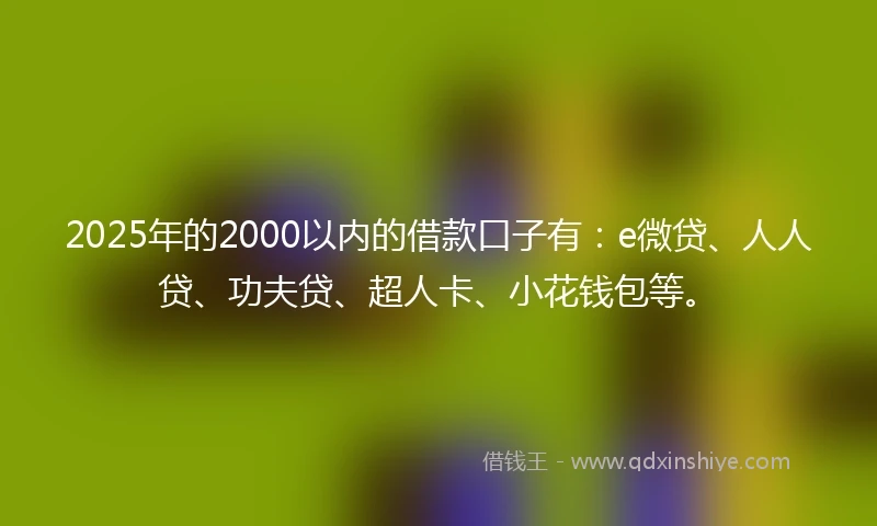 2025年的2000以内的借款口子有：e微贷、人人贷、功夫贷、超人卡、小花钱包等。