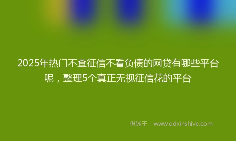 2025年热门不查征信不看负债的网贷有哪些平台呢，整理5个真正无视征信花的平台